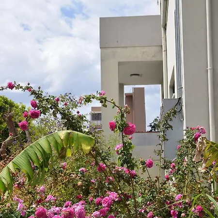 Fotini 's Near The Center. 干尼亞