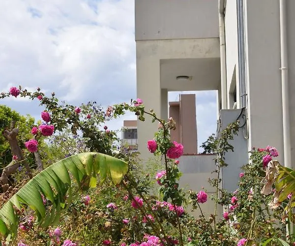 Fotini 's Near The Center. Chania (Crete)